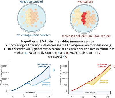 Examination of the role of mutualism in immune evasion